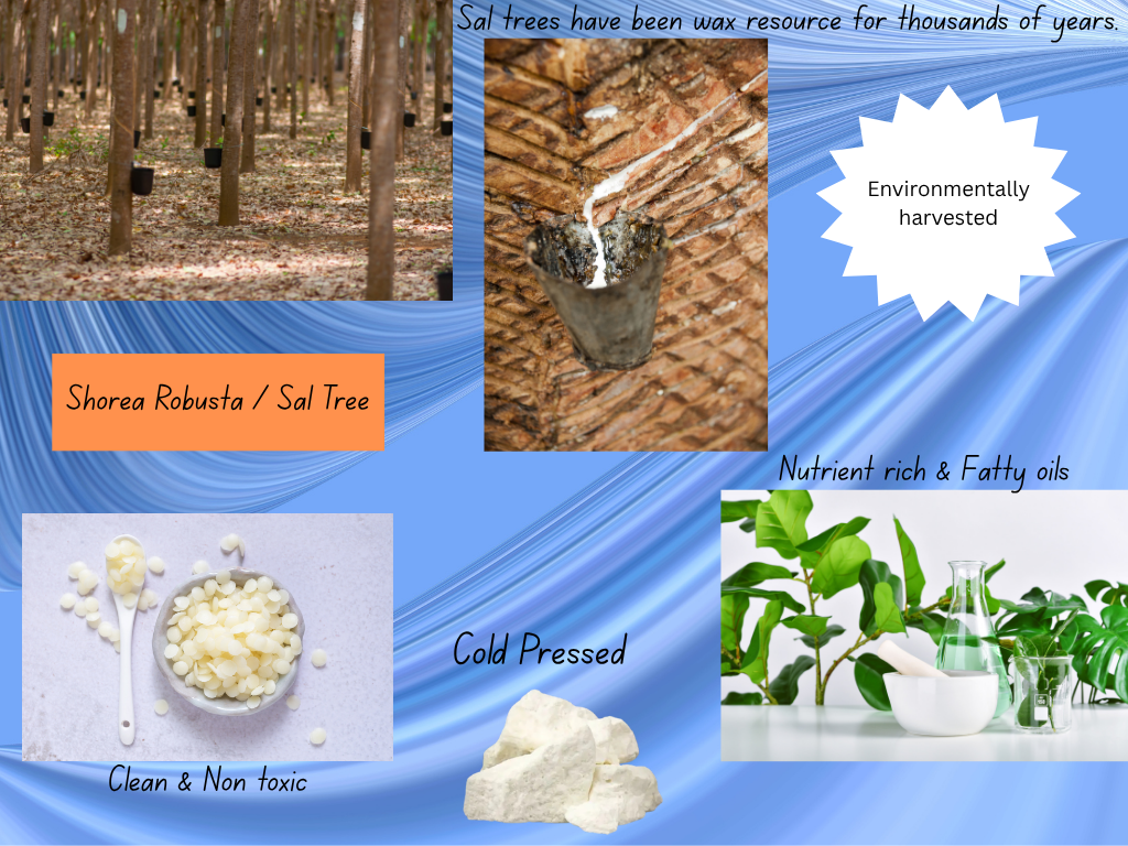 Fugi Apple.                             #Fu-G